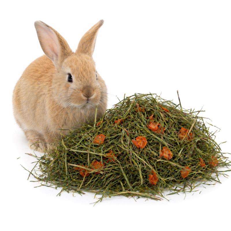 ce651f48eab34a710373146948ceae18