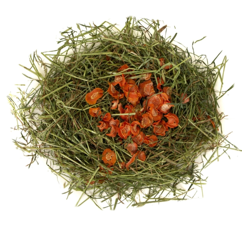 08046d21049ed0bbca9ddfaf730854ba