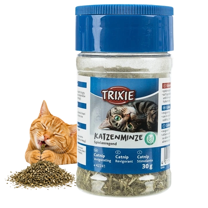 Projekt bez nazwy - 2026-04-23T113721.476.jpg