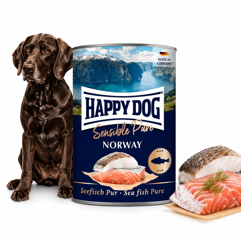 59198244-b78c-42fe-ac8f-03403c897175 (1).png