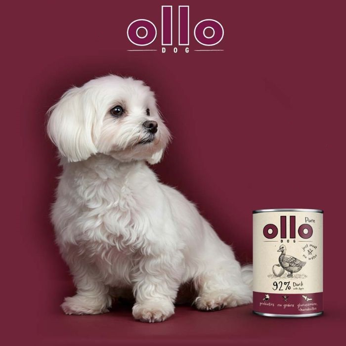 522251aeecf4a3841edd1ee61741dccb