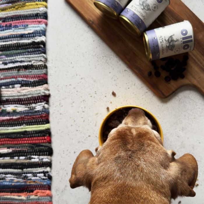 8e4e589bd8b19daabc0c62b728aa6501