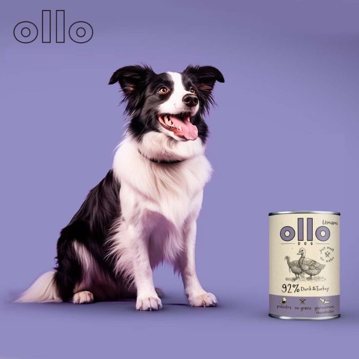 206cc280bb6d80ea210dec57f9c75e7d