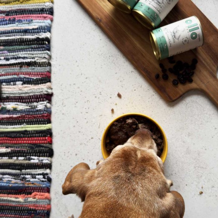 7336b6df7b20317860e1bbfe204974e6