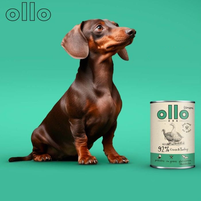 fde1e7d773fd56bd3a8e758d90c5948f