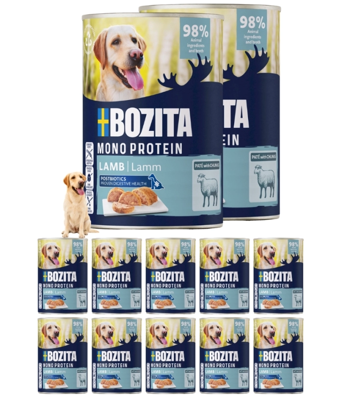 Kopia – Projekt bez nazwy – kopia – kopia – kopia – kopia (27).jpg