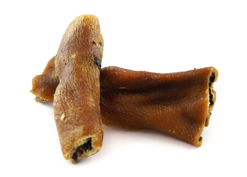 4f521c5df0155729267bd44cdc097928