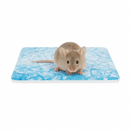Trixie płyta ceramiczna mata chłodząca na upał chomik mysz gryzonie 20x15cm