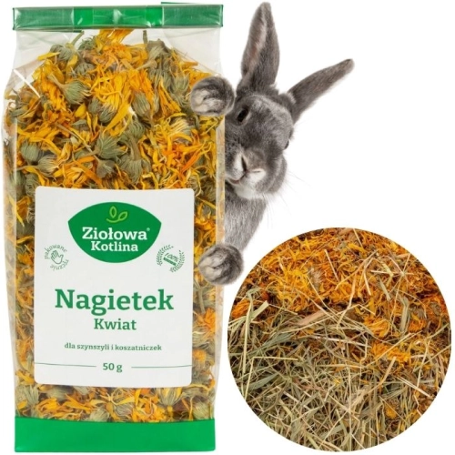 Ziołowa Kotlina Kwiat nagietka dla szynszyli koszatniczki 50g