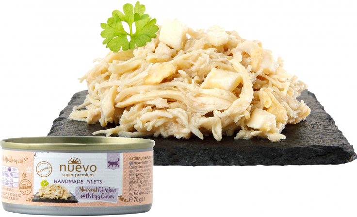 1c12fa3da730a2ff042121b9225059ee