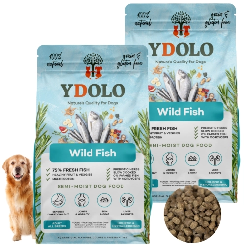 YDOLO Wild Fish ryby morskie półwilgotna bezzbożowa karma dla psa 2x 2,5 kg