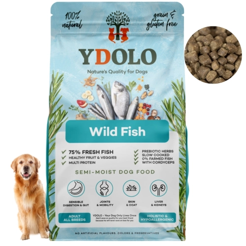 YDOLO Wild Fish ryby morskie półwilgotna bezzbożowa karma dla psa 2,5 kg