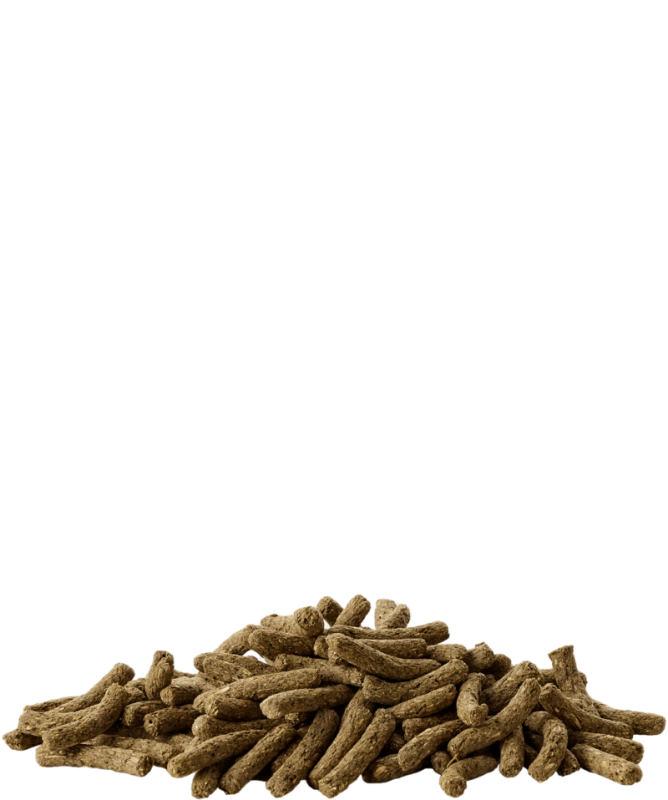 5410340613085food.png