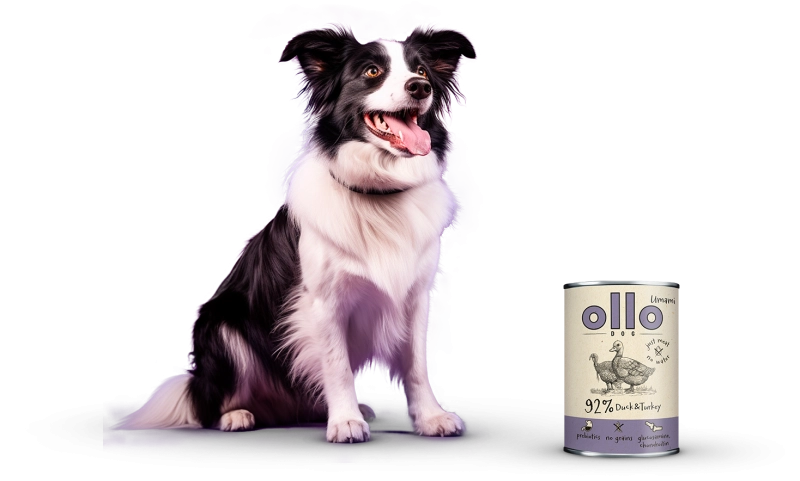 umami-dt-dog.png