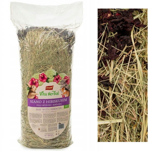 ef99601f9d482105677de30d523fb8dd