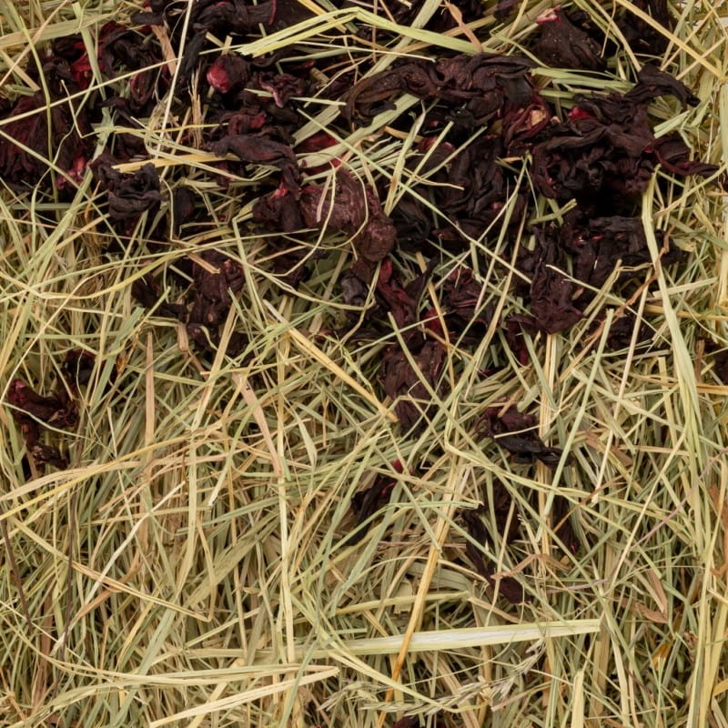 93b122dbf39b44dc8bdf6574242fba98