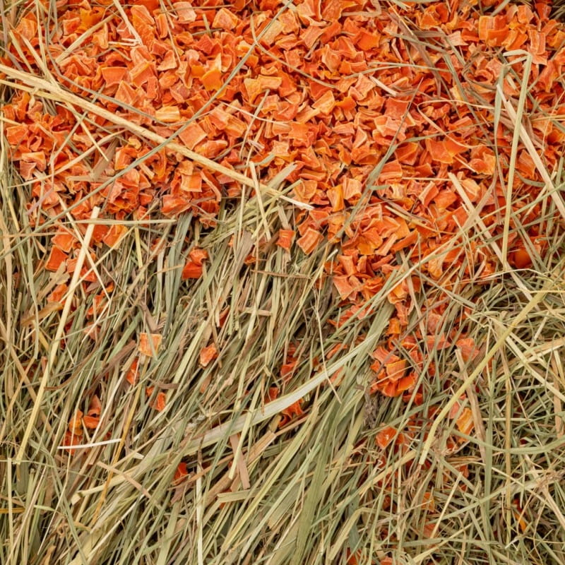 cd6fefd89ec75a9107c413398a4eb264