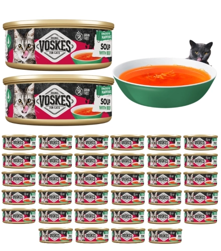 Voskes Cat Soup zupa bulion dla kota z wołowiną i kurczakiem nawodnienie 36x 50g