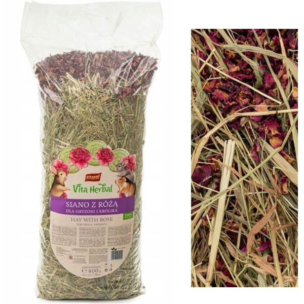 2ca796ddbe39427da917c5af9412f2ed