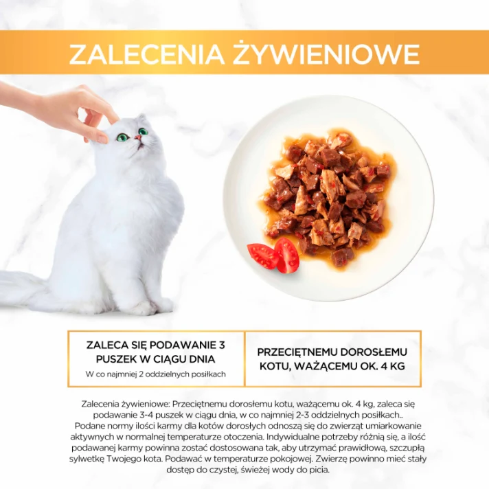 Purina Gourmet Gold Casserole mokra karma dla kota wołowina kurczak 85g (3)