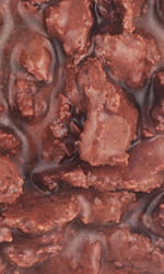 52c7320eb0a69c06a84e079cef4c0c15