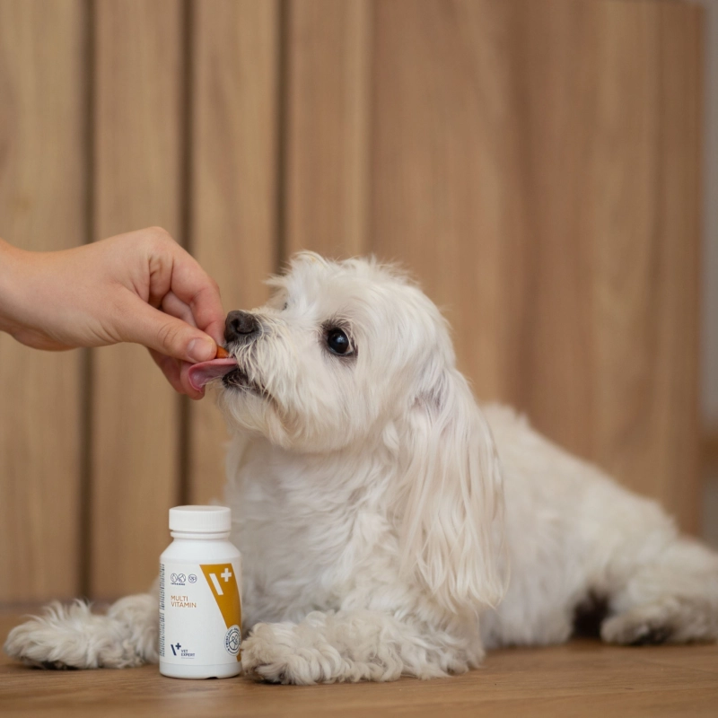 Vet Expert MultiVitamin witaminy i minerały dla psa i kota 50 kapsułek