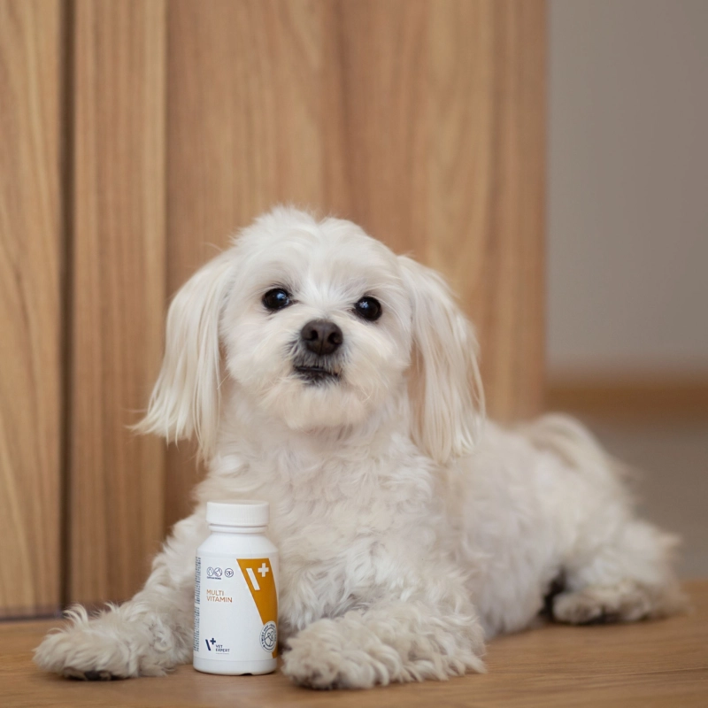 Vet Expert MultiVitamin witaminy i minerały dla psa i kota 50 kapsułek