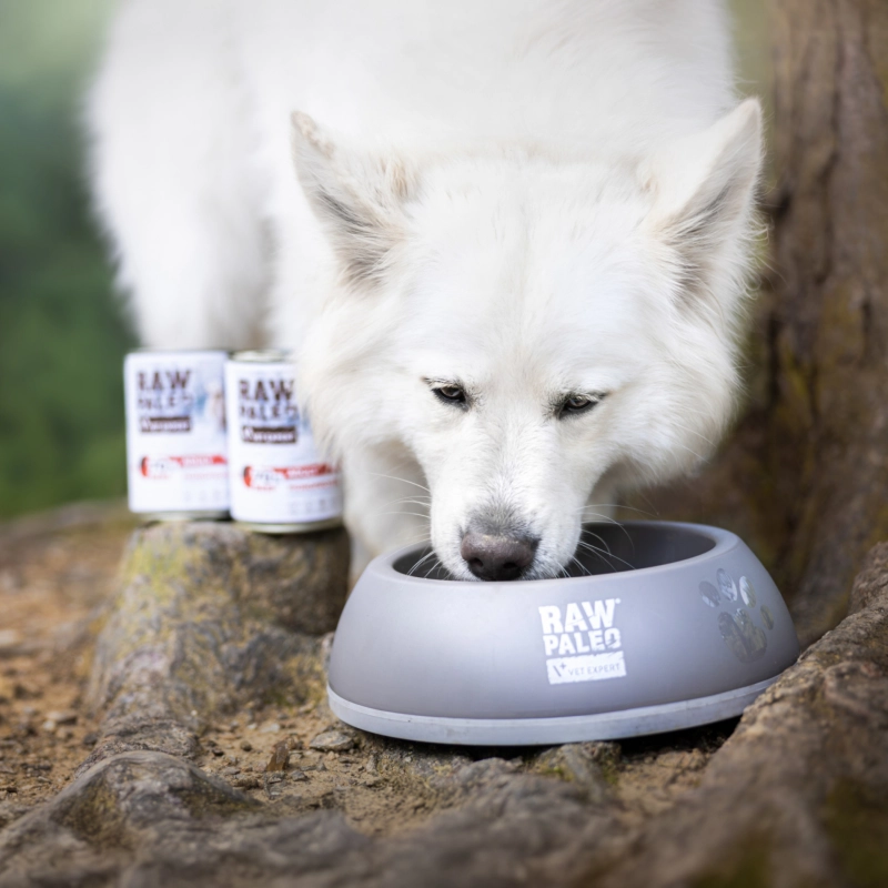 Vet Expert Raw Paleo Adult monobiałkowa mokra karma dla dorosłego psa wołowina 400g
