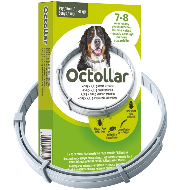 Elanco Octollar obroża lecznicza 70cm dla psa >8kg na pchły kleszcze wszoły