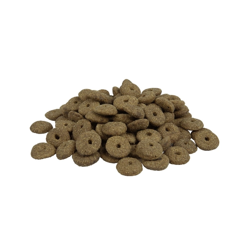 ab650047a032dfb011fc8b4f1c4e8a1f