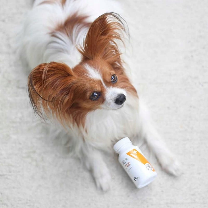 98ac78c650b5a0d1434015a0d7a71d3d