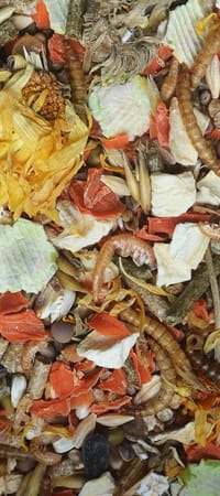 cf47b7b2d2818ef00ad79f806f1ad690