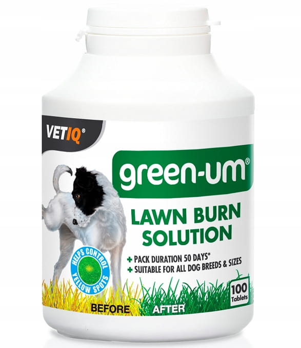 3a630a8b5c399747f1330575ad9d94f6