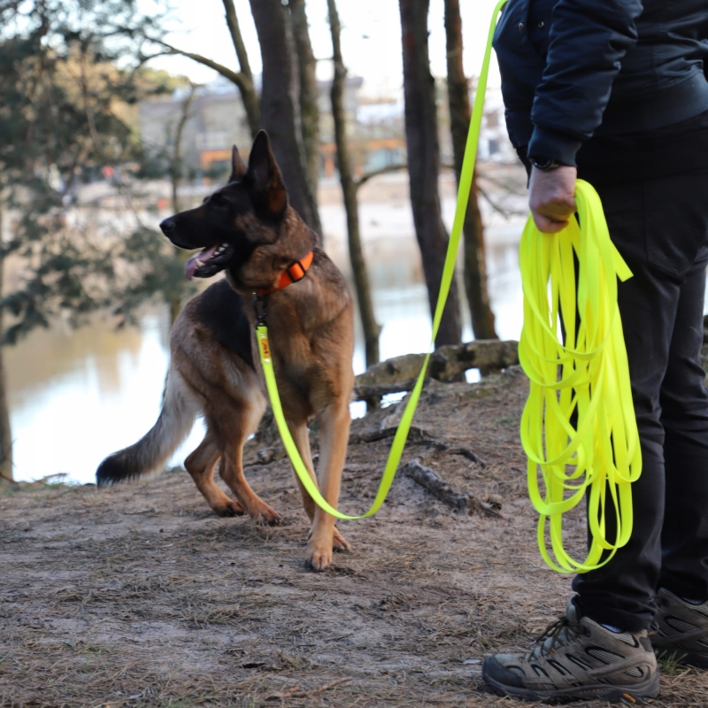 f98edb6cd620a528c457486a023bb4f9