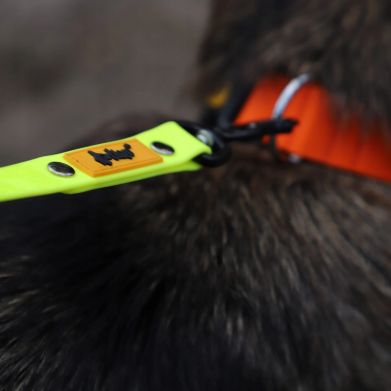 97099d2a5b6694ef9cdac5a8e548ff95