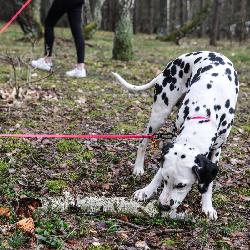 67394a873a329319b338e54aa2c847e4