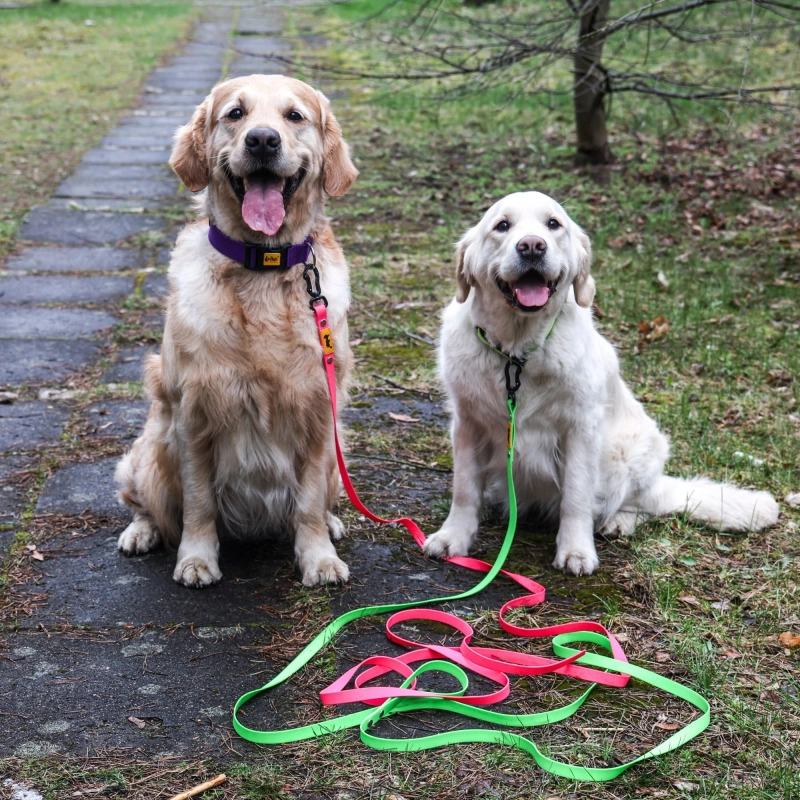 104653adb4dc272c83c87bf9e9384117