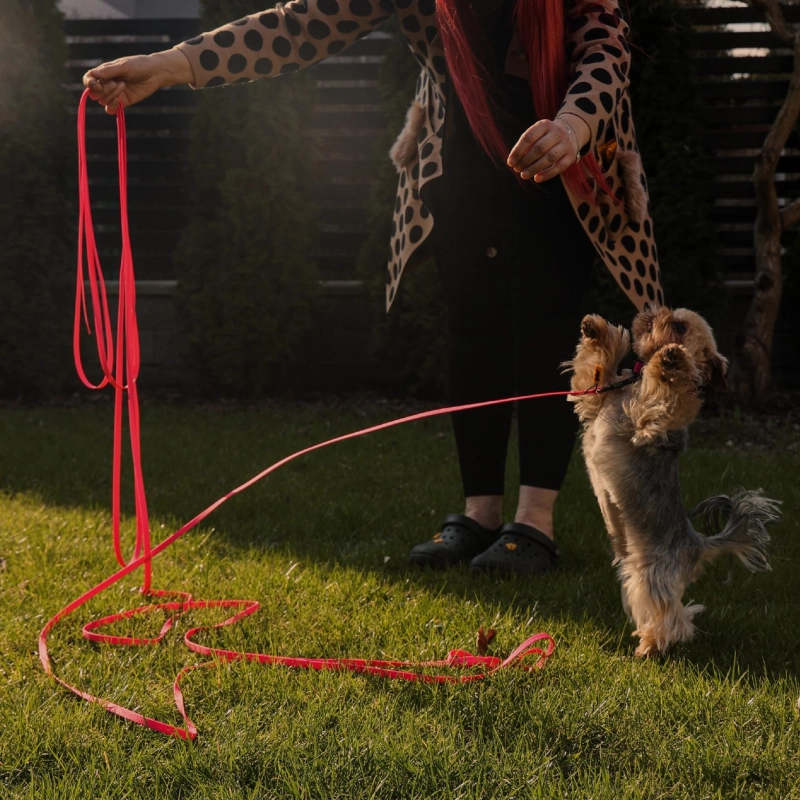 0afbe7c07590f04ad57ef66743f481b7