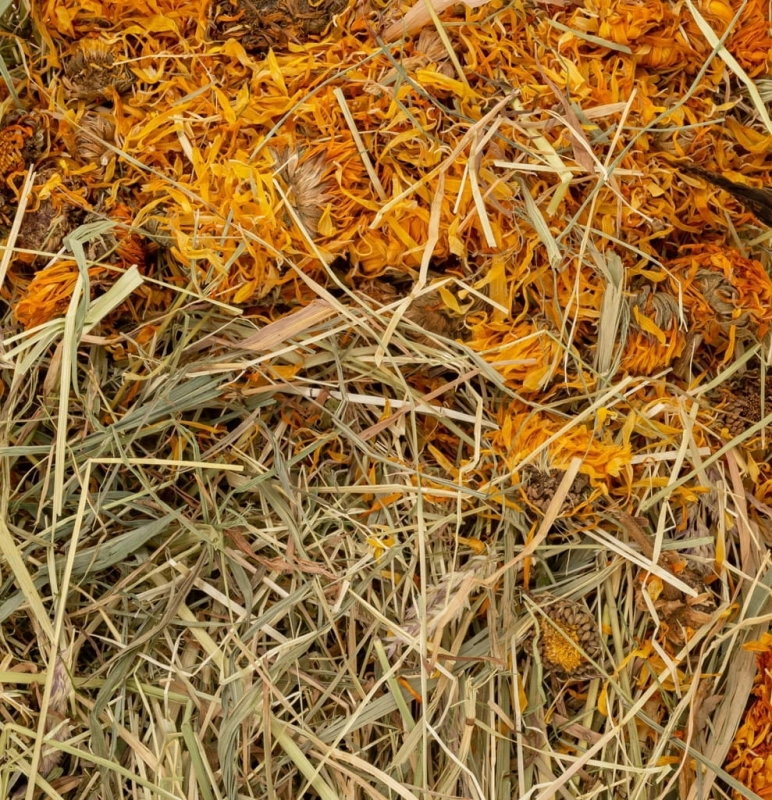 35380c083f7748e938c8ce08a8da4a53