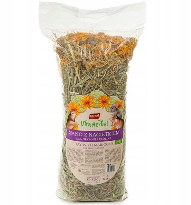 874a762645fc89a61b973bf9b83c26d8