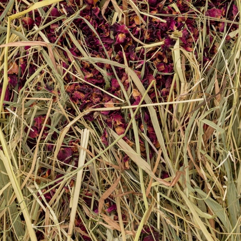 b798fa8758b6f6a25c63ba1699945322