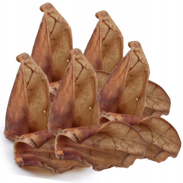 ba52d5f3b36785d08e4b36a00372b131