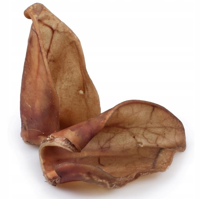 8849c1246562f21caf5bbabbda96ca9a