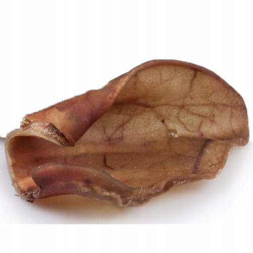 2e6e3fb6bb5470b7457ef396ba69554f