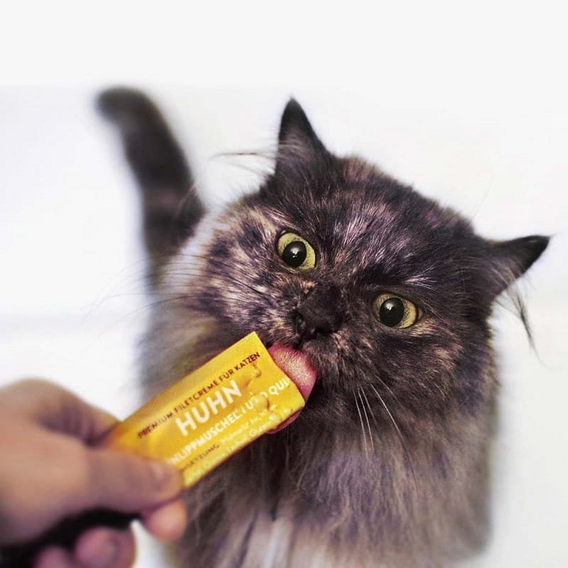 8f4d3d9229682ee25034623de407f71b