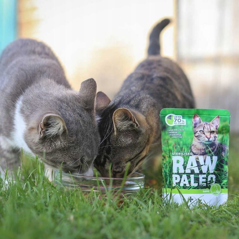 Vet Expert Raw Paleo monobiałkowa mokra karma dla kota sterylizowanego dziczyzna 100g