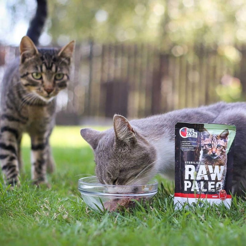 Vet Expert Raw Paleo wołowina monoproteinowa karma mokra dla kota sterylizowanego 12x 100g