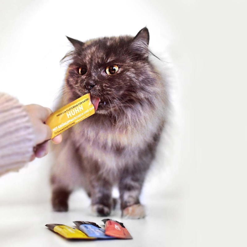 6c31c81c84da6f30b418fb0c919dc799