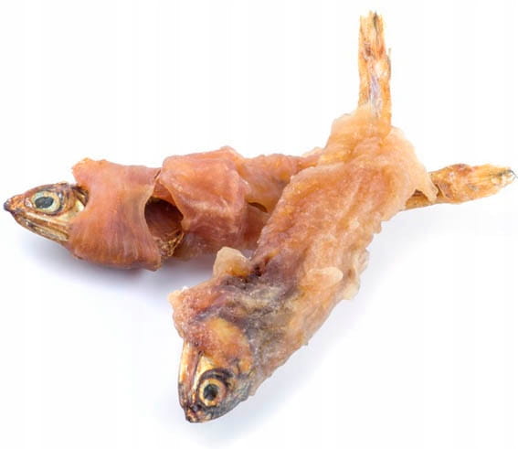 1f8bd53f8f451f4587a3de86ada51c92