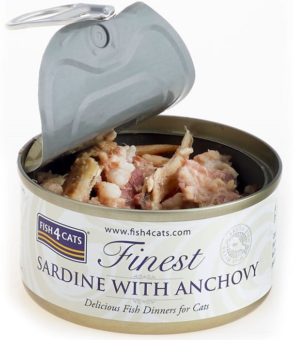 804b45b70b01c1221573e39b82403d36